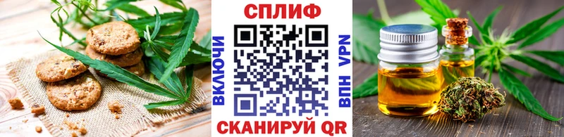 Cannafood конопля  наркотики  Камызяк 