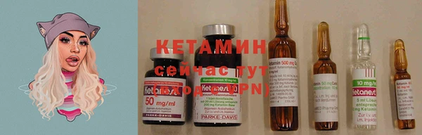 ешки Елизово